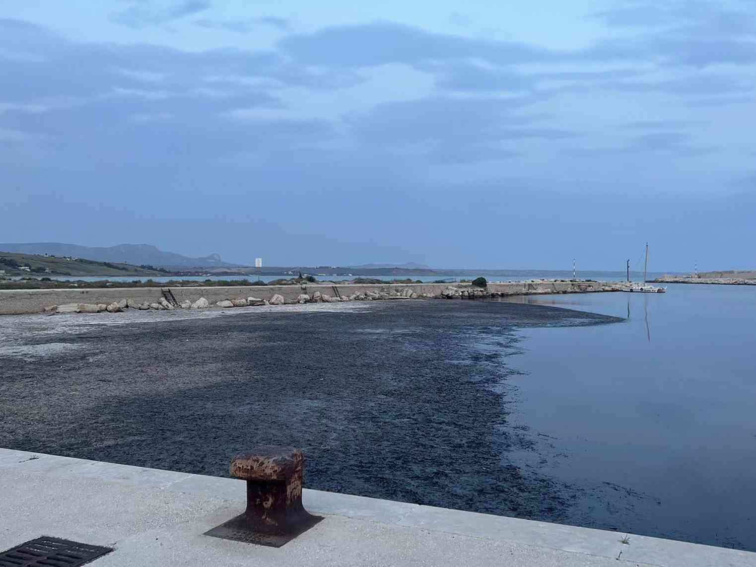 Immagine articolo: Porto Palo, il sindaco di Menfi alla Regione: “pronto a protestare con la fascia tricolore“