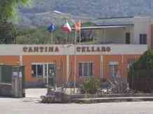 Immagine articolo: Sambuca, riconfermato Nino Guasto presidente della Cantina Cellaro