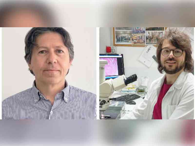 Immagine articolo: I menfitani Migliore e Buscemi nel consiglio direttivo provinciale dell’Ordine dei Medici Veterinari