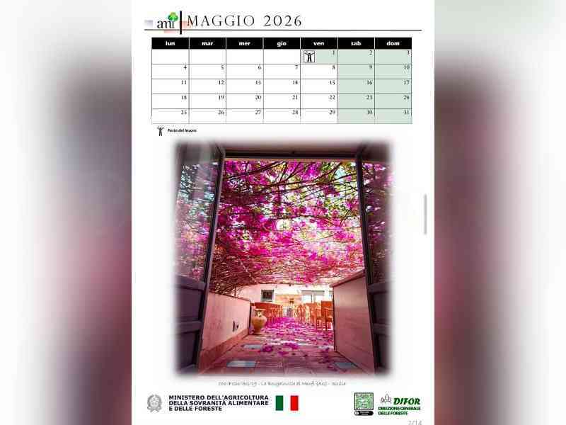 Immagine articolo: La Bougainvillea monumentale di Menfi nel Calendario 2026 del Ministero dell'Agricoltura