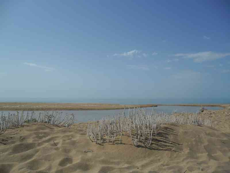 Immagine articolo: Dalla regione arriva un finanziamento per il riefficientamento di un tratto del fiume Belice