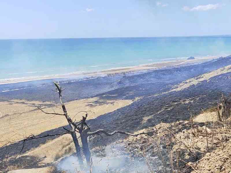 Immagine articolo: Ancora incendi a Menfi. Ieri bruciati 25 ettari in contrada Bertolino