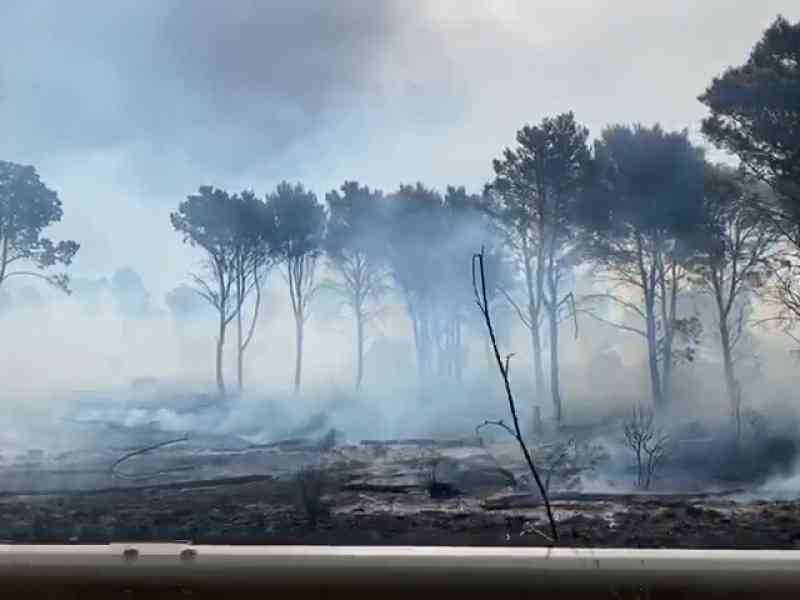 Immagine articolo: Commissione Ambiente Assemblea Regionale Siciliana: “Per contrastare gli incendi servono soluzioni concrete“