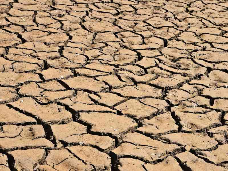 Immagine articolo: Siccità: i sindaci dell'Agrigentino chiedono un incontro all'assessore Di Mauro