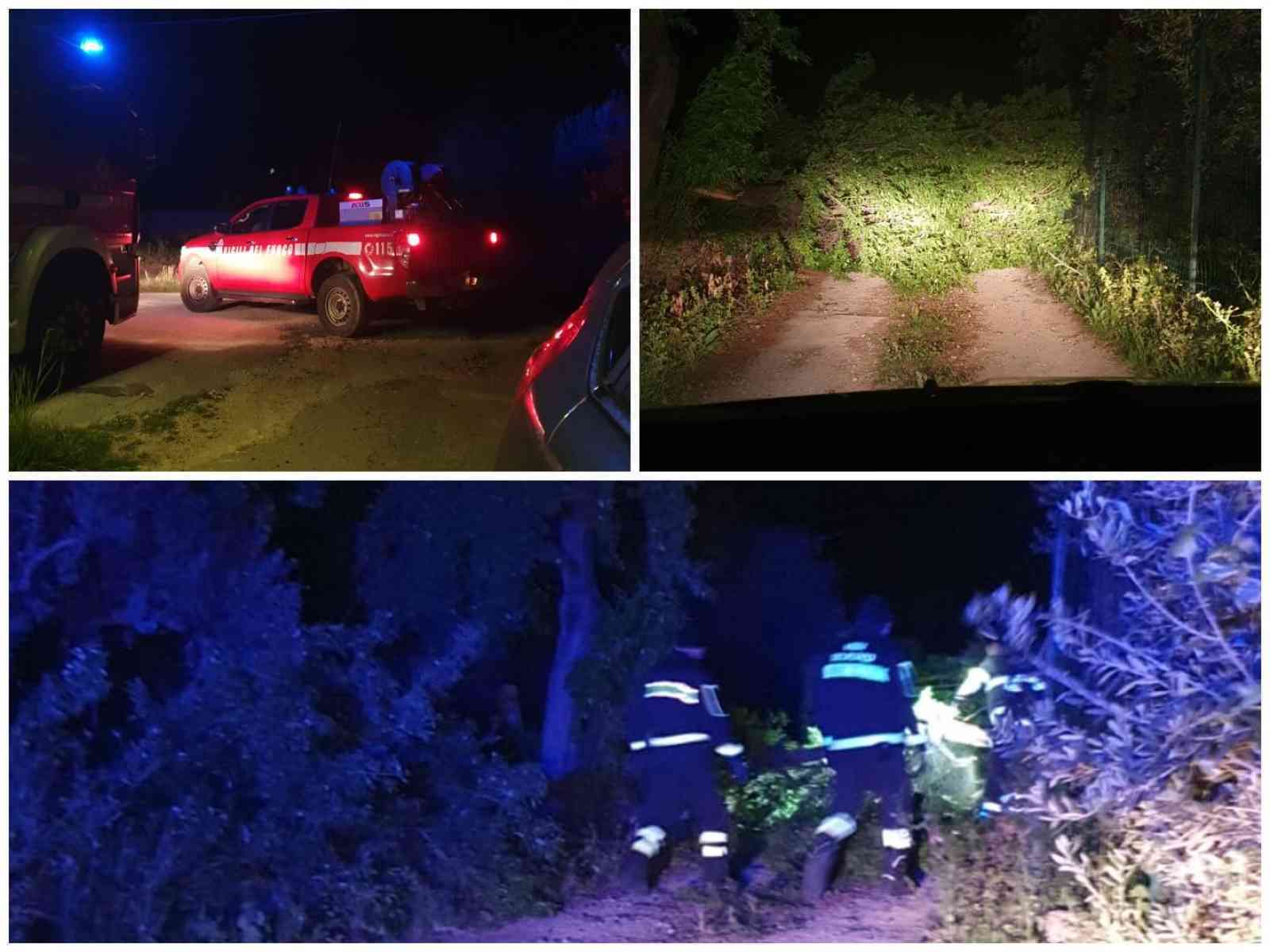 Immagine articolo: Menfi. Forte vento nella notte. Strada bloccata da albero caduto, intervengono i Vigili del Fuoco