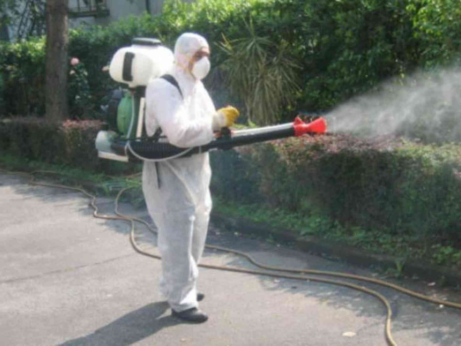 Immagine articolo: Santa Margherita, via alla disinfestazione delle caditoie nel centro urbano. Lavori affidati ad una ditta castelvetranese