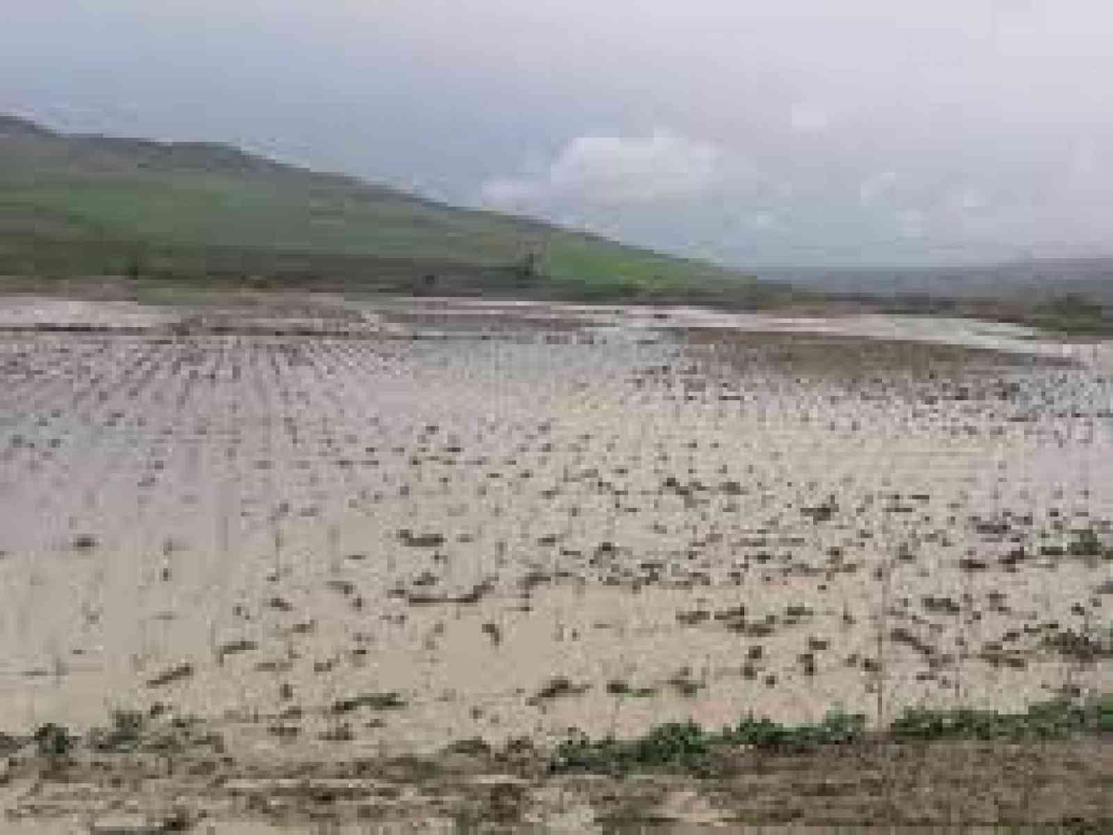 Immagine articolo: Montevago e Contessa Entellina. Regione approva i Piani per l'assetto idrogeologico