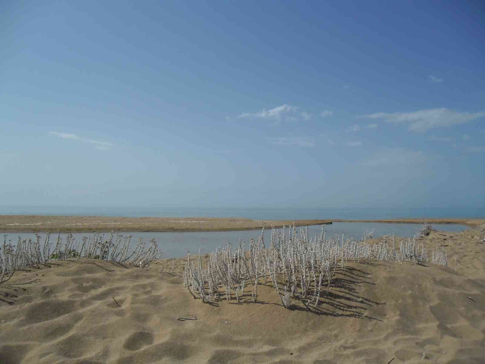 Immagine articolo: Dalla regione arriva un finanziamento per il riefficientamento di un tratto del fiume Belice