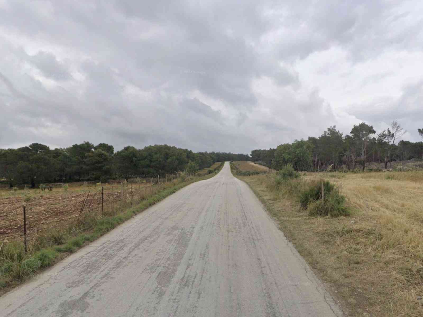 Immagine articolo: Montevago, finanziamento da mezzo milione di euro per ripristino strada “Magaggiaru“
